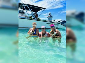 A joyful group of friends enjoys a sunny day in the water, holding their dogs while a boat is anchored nearby — perfect for a fun day out on the water.