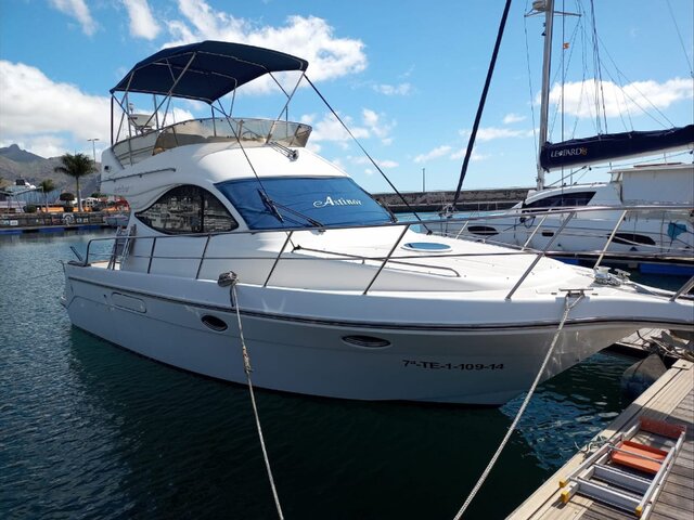Listing image 1066459