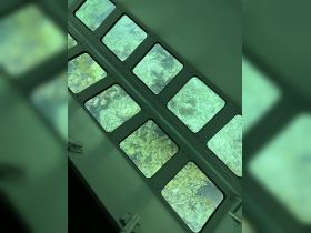 Interior view through the windows of a boat, showcasing the vibrant underwater scenery, perfect for marine exploration.