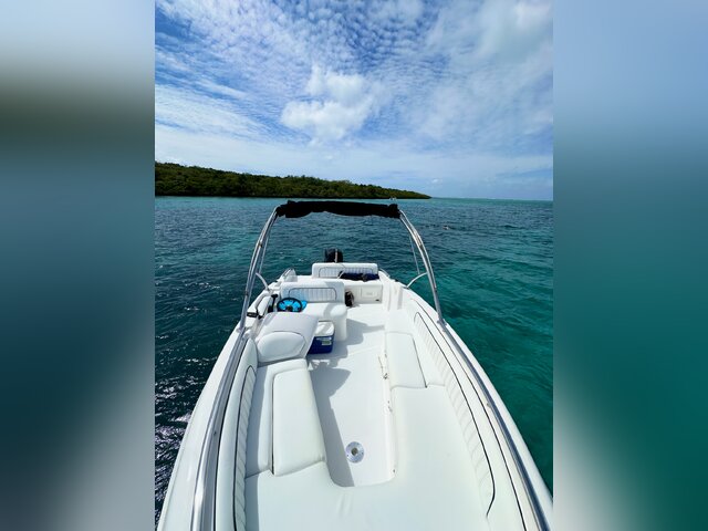 Listing image 1066563