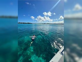 A swimmer enjoys the crystal-clear waters, showcasing the beauty of the ocean and the thrill of aquatic adventures.