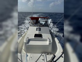 Boat view