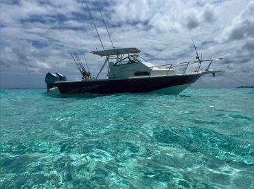 Cayman Live Bait