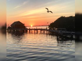 A stunning sunset over the water, with a picturesque dock and birds in flight, creating a serene atmosphere perfect for evening reflections.