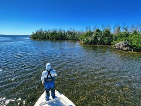 A fisherman stands at the bow of a boat, casting a line into the tranquil waters surrounded by lush mangroves — a perfect day for fishing and enjoying nature.