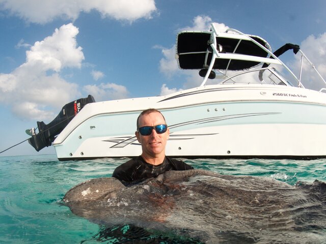 Listing image 1068910