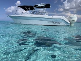 A sleek speedboat named 'Catalyst' glides through crystal-clear waters, showcasing its elegant design against a backdrop of blue skies and fluffy clouds.