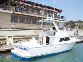 The 'Pacific Mistress' yacht is docked at the marina, showcasing its sleek design against a backdrop of a waterfront restaurant.