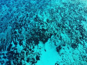 An aerial view of the ocean's surface, showcasing a vibrant mix of turquoise and darker patches, but lacks clarity and identifiable features.