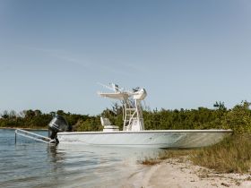 A sleek center console boat is anchored on a sandy shore, showcasing its design against a backdrop of lush greenery — perfect for fishing or leisure outings.