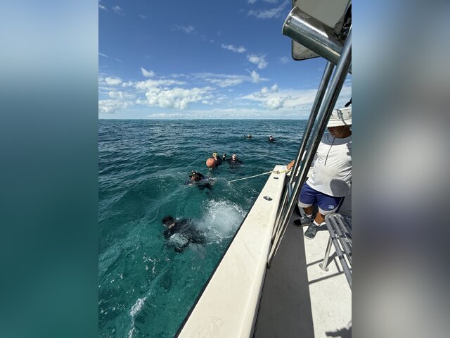 Listing image 1079424