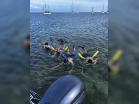 A group of snorkelers enjoys a fun day in the water, exploring the underwater world with colorful gear — perfect for family adventures and aquatic experiences.