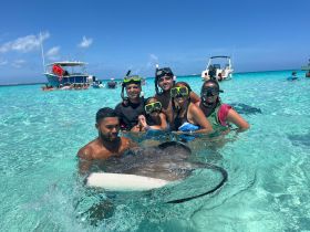 A group of snorkelers interacts with stingrays in crystal-clear waters, creating an unforgettable wildlife experience in a tropical paradise.