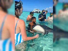 A group of snorkelers interacts with a stingray in shallow turquoise waters, creating an unforgettable wildlife experience in the Caribbean.