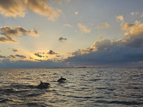 Charter Image