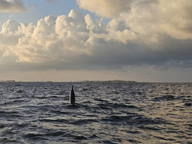 Charter Image