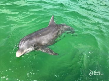 Coastal Life Charters & Adventures