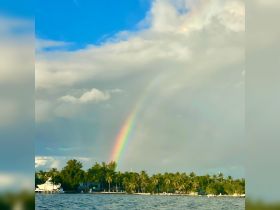 A stunning rainbow arcs over a lush coastline, creating a picturesque scene perfect for capturing the beauty of nature during a boating adventure.