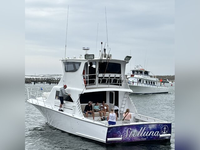 Listing image 1067060