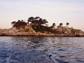 A serene view of a rocky island with lush trees, captured from the water — a perfect representation of coastal beauty and nature.