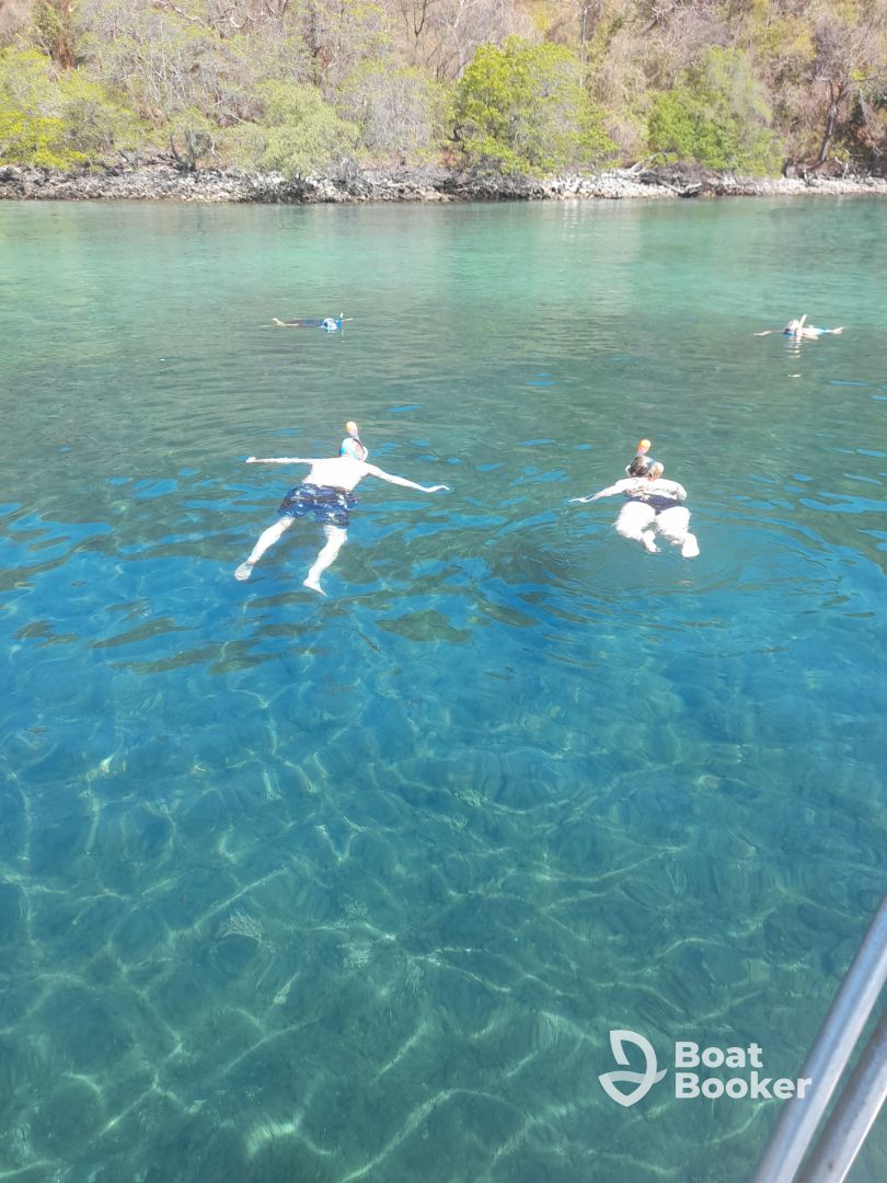 Early Marine Wildlife Adventure - Papagayo