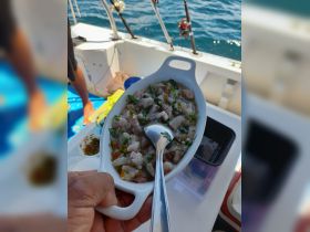 A delicious serving of ceviche prepared on board, showcasing fresh ingredients and perfect for enjoying after a day of fishing.