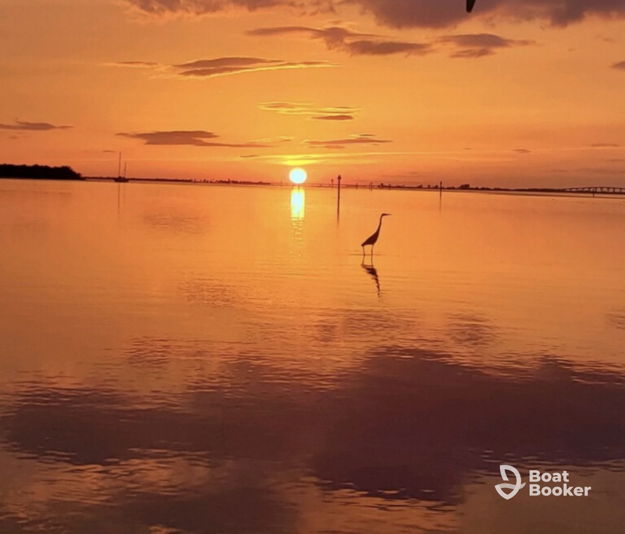 Reel Florida Eco Tours