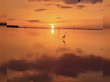 Reel Florida Eco Tours