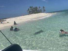 A lively scene at a sandbar with guests enjoying the clear waters, swimming, and relaxing on the beach — a perfect day for water activities and fun in the sun.