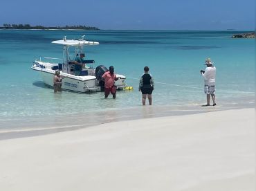 White Waves Sea - Dancer Tours