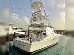 A sleek yacht named 'Nauti by Nature' docked in a marina, showcasing its impressive structure and design — perfect for fishing trips or luxury charters.