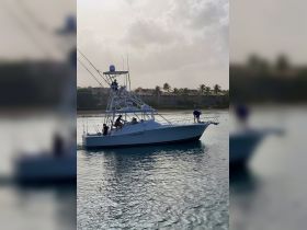 A fishing boat navigates the calm waters, with crew members actively preparing for a day of adventure. Perfect for those looking to experience deep-sea fishing or charter services.