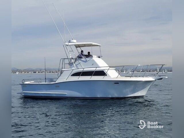 Listing image 1067727
