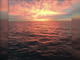 A stunning sunset over the ocean, with vibrant colors reflecting on the water's surface — a perfect backdrop for serene boating experiences.