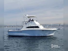 A sleek yacht cruising through calm waters, showcasing its elegant design and structure, perfect for fishing or leisure outings.