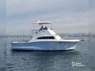 San Diego Boat Rides