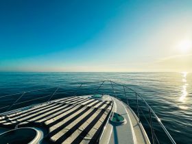 A serene view from the bow of a boat, showcasing calm waters and a clear sky — perfect for peaceful cruising or sunset watching.