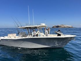 A group of anglers proudly displays their catch aboard a fishing boat, enjoying a successful day on the ocean. Perfect for fishing enthusiasts and adventure seekers.