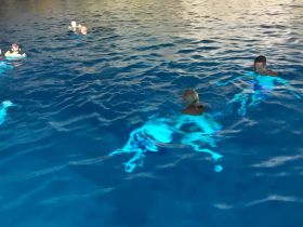 A group of children and adults enjoy swimming in crystal-clear waters, perfect for family fun and aquatic adventures.