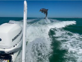 Charter Image