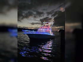 A beautifully lit yacht glides through the water at night, showcasing vibrant decorations against a dramatic sky — perfect for evening cruises and celebrations.