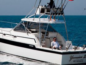 A fishing boat navigates the open waters with a relaxed angler on board, showcasing the thrill of a day out at sea.