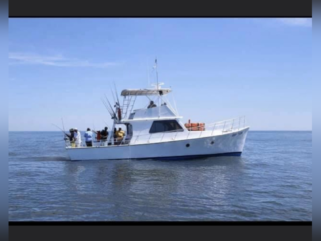 Listing image 1067929