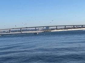 A picturesque view of a bridge spanning the coastline, with birds soaring above the tranquil waters — a serene moment capturing the beauty of the landscape.