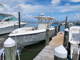 A sleek speedboat docked at a marina, showcasing its clean lines and inviting design, perfect for a day on the water.