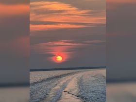 A stunning sunset over calm waters, creating a picturesque backdrop perfect for evening boat cruises and serene moments on the water.