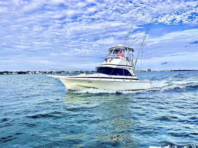 Listing image 1067998