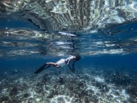 A snorkeler explores the vibrant underwater world, showcasing the beauty of marine life and coral reefs — an unforgettable adventure in crystal-clear waters.