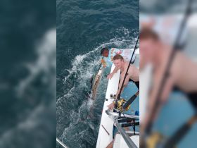Two anglers celebrate a successful catch while fishing from a boat, showcasing the thrill of deep-sea fishing adventures.