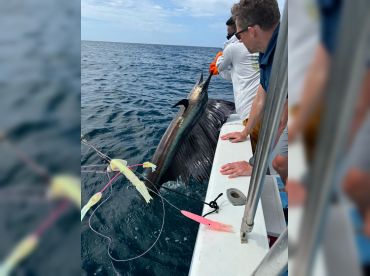 Tuna Fish Sportfishing